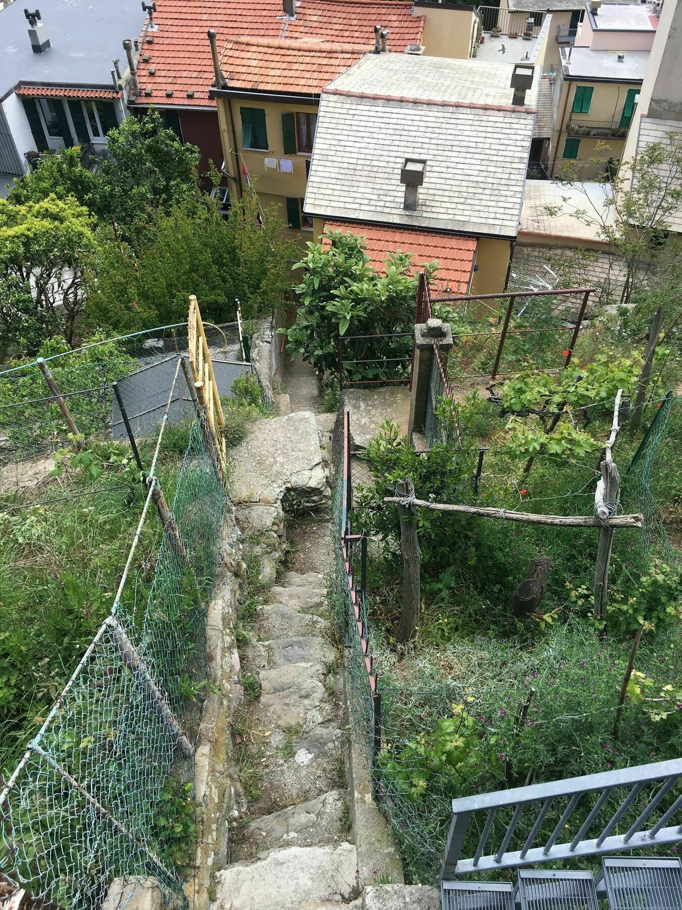 Donadelmar2 Apartment Riomaggiore Bagian luar foto